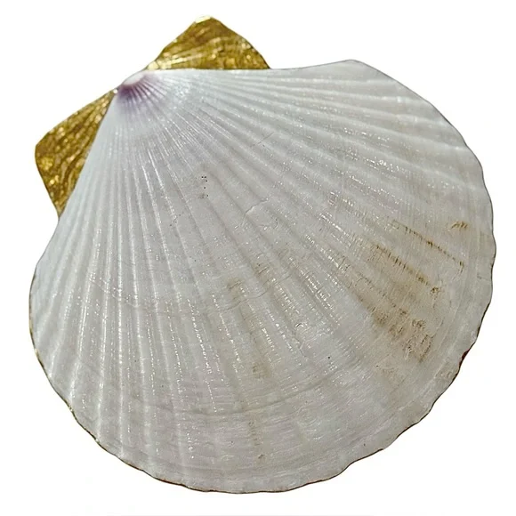 Hand Crafted Tropical Palm Leaf Print Trinket Shell Dish Green - Picture 4 of 6